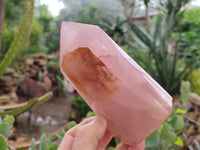 Polished Rose Quartz Crystal Points x 3 From Ambatondrazaka, Madagascar