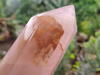 Polished Rose Quartz Crystal Points x 3 From Ambatondrazaka, Madagascar