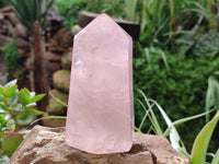 Polished Rose Quartz Crystal Points x 3 From Ambatondrazaka, Madagascar