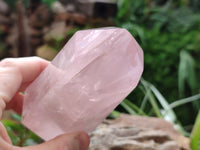 Polished Rose Quartz Crystal Points x 3 From Ambatondrazaka, Madagascar