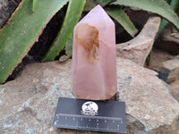 Polished Rose Quartz Crystal Points x 3 From Ambatondrazaka, Madagascar