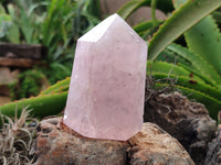 Polished Rose Quartz Crystal Points x 3 From Ambatondrazaka, Madagascar