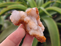 Natural Golden Solar Spirit Quartz Crystals x 12 From Boekenhouthoek, South Africa