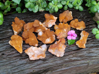 Natural Golden Solar Spirit Quartz Crystals x 12 From Boekenhouthoek, South Africa