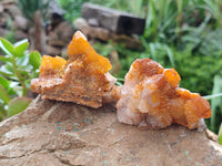 Natural Golden Solar Spirit Quartz Crystals x 12 From Boekenhouthoek, South Africa