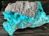 Natural Drusy Coated Chrysocolla on Malachite Specimen x 1 From Congo