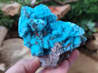 Natural Drusy Coated Chrysocolla on Malachite Specimen x 1 From Congo