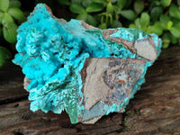 Natural Drusy Coated Chrysocolla on Malachite Specimen x 1 From Congo