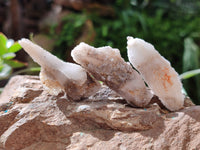 Natural Drusy Quartz Coated Calcite Pseudomorph Specimens x 24 From Alberts Mountain, Lesotho