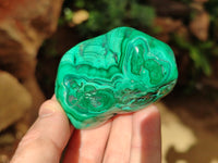 Polished Flower Banded Malachite Free Forms x 12 From Congo