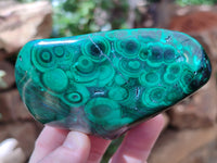 Polished Flower Banded Malachite Free Forms x 12 From Congo