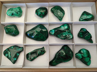 Polished Flower Banded Malachite Free Forms x 12 From Congo