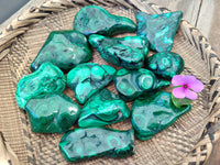 Polished Flower Banded Malachite Free Forms x 12 From Congo