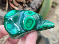 Polished Flower Banded Malachite Free Forms x 12 From Congo