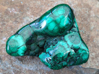 Polished Flower Banded Malachite Free Forms x 12 From Congo