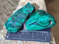 Polished Flower Banded Malachite Free Forms x 12 From Congo