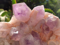 Natural Jacaranda Amethyst Quartz Clusters x 2 from Mumbwa, Zambia