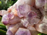 Natural Jacaranda Amethyst Quartz Clusters x 2 from Mumbwa, Zambia