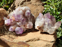 Natural Jacaranda Amethyst Quartz Clusters x 2 from Mumbwa, Zambia