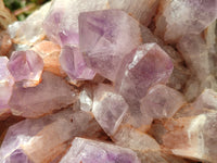 Natural Jacaranda Amethyst Quartz Clusters x 2 from Mumbwa, Zambia