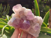 Natural Jacaranda Amethyst Quartz Clusters x 2 from Mumbwa, Zambia