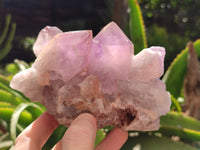 Natural Jacaranda Amethyst Quartz Clusters x 2 from Mumbwa, Zambia