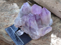 Natural Jacaranda Amethyst Quartz Clusters x 2 from Mumbwa, Zambia