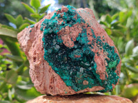 Natural Dioptase On Dolomite Specimens x 1 From Likasi, Congo