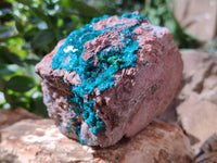 Natural Dioptase On Dolomite Specimens x 1 From Likasi, Congo