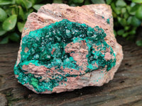 Natural Dioptase On Dolomite Specimens x 1 From Likasi, Congo