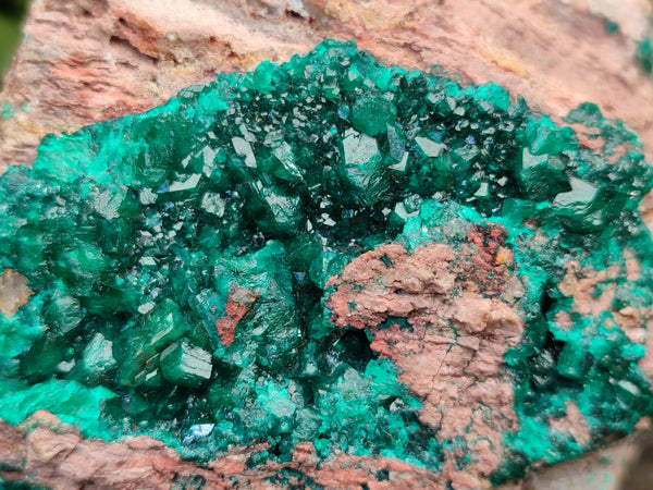 Natural Dioptase On Dolomite Specimens x 1 From Likasi, Congo