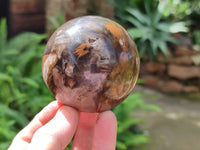 Polished Petrified Wood Spheres x 3 From Gokwe, Zimbabwe