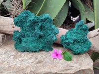 Natural Silky Malachite Specimens x 2 From Kasompe, Congo