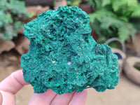 Natural Silky Malachite Specimens x 2 From Kasompe, Congo