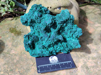 Natural Silky Malachite Specimens x 2 From Kasompe, Congo