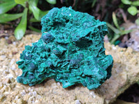 Natural Silky Malachite Specimens x 2 From Kasompe, Congo