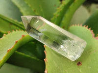 Polished Clear Quartz Crystals x 35 From Madagascar