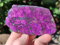 Polished On One Side Purpurite Specimens x 6 From Namibia