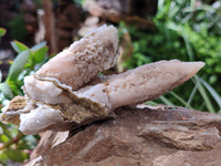 Natural Drusy Quartz Coated Calcite Pseudomorph Specimens x 7 From Alberts Mountain, Lesotho