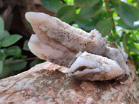 Natural Drusy Quartz Coated Calcite Pseudomorph Specimens x 7 From Alberts Mountain, Lesotho