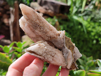 Natural Drusy Quartz Coated Calcite Pseudomorph Specimens x 7 From Alberts Mountain, Lesotho