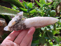 Natural Drusy Quartz Coated Calcite Pseudomorph Specimens x 7 From Alberts Mountain, Lesotho