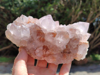 Natural Amethyst Spirit Quartz Clusters x 2 From Boekenhouthoek, South Africa