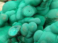 Natural Botryoidal Malachite Specimens x 1 From Congo