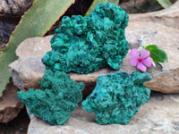 Natural Silky Malachite Specimens x 3 From Kasompe, Congo