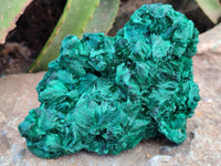 Natural Silky Malachite Specimens x 3 From Kasompe, Congo