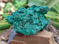 Natural Silky Malachite Specimens x 3 From Kasompe, Congo