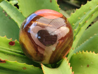 Polished Polychrome Jasper Spheres x 3 From Mahajanga, Madagascar