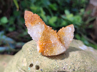 Natural Golden Solar Spirit Quartz Crystals x 20 From Boekenhouthoek, South Africa