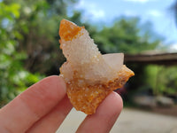 Natural Golden Solar Spirit Quartz Crystals x 20 From Boekenhouthoek, South Africa